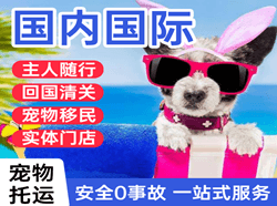 大兴航空托运国际宠物托运 【国